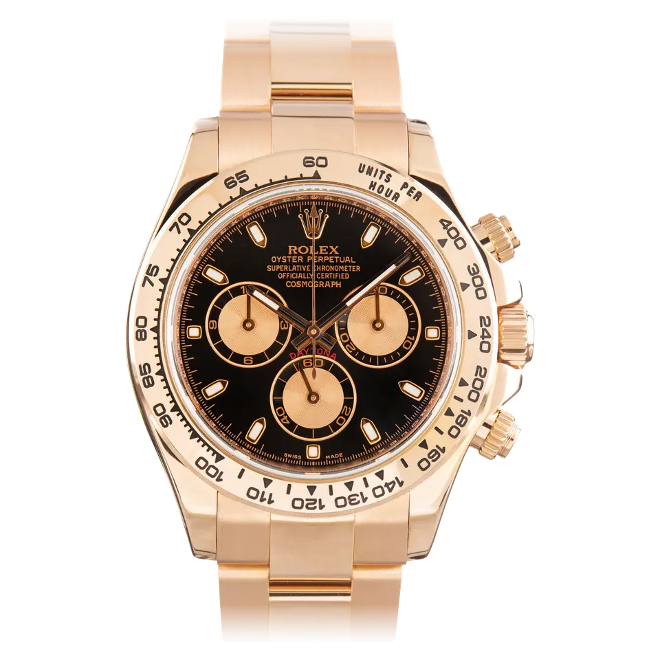 Rolex Cosmograph Daytona 116505 with a black dial with pink sub-dials in Everose gold on an Oyster bracelet, a pre-owned example, front view of the whole watch